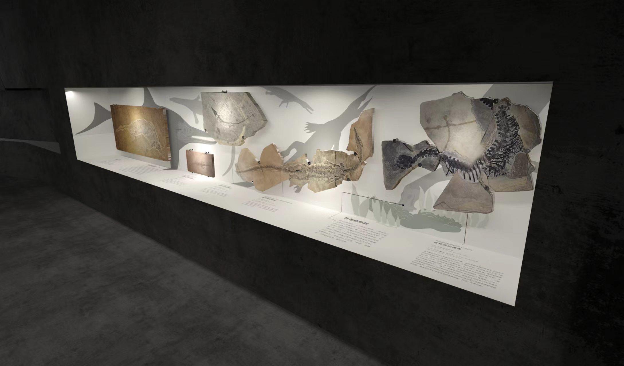 自然馆展陈空间